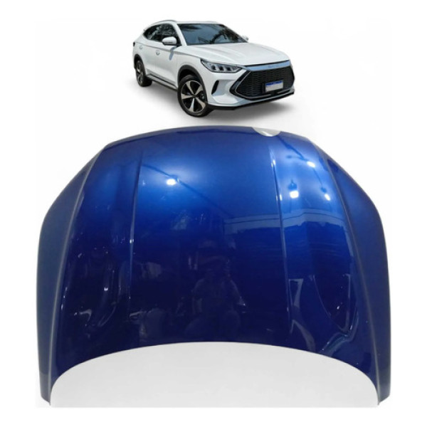 Capo Byd Song Plus 2023 2024 2025 Original