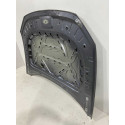 Capo Byd Song Pro 2024 2025 Original
