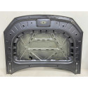 Capo Byd Song Pro 2024 2025 Original