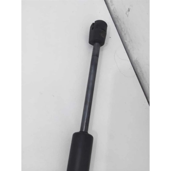 Amortecedor Capo Bmw X3 2014 Dianteira Preto