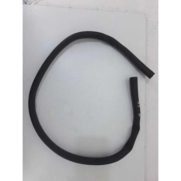 Borracha Vedação Capo Bmw X3 2014