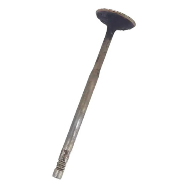 Valvulas Cabeçote Audi A3 2003