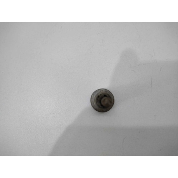 Parafuso Valvula Termostatica Bmw 320i 2010