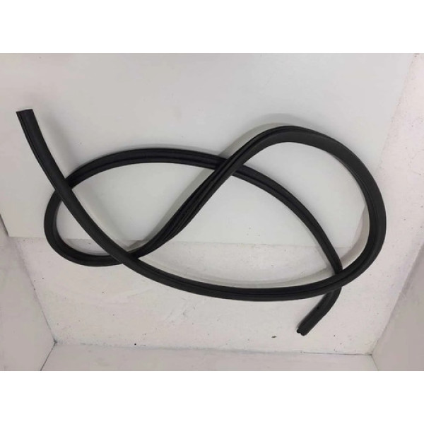 Borracha Porta Bmw X1 2014 Traseira Esquerda