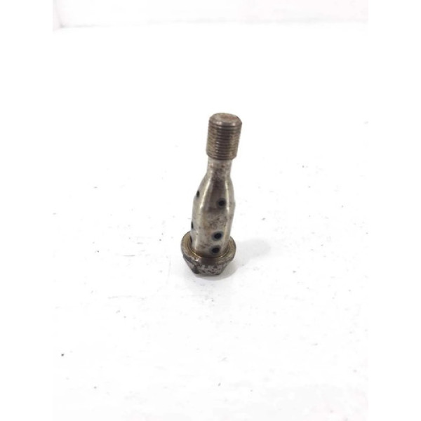 Parafuso Polia Comando Bmw 320i 2016