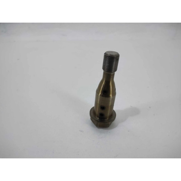 Parafuso Polia Comando Bmw 320i 2014