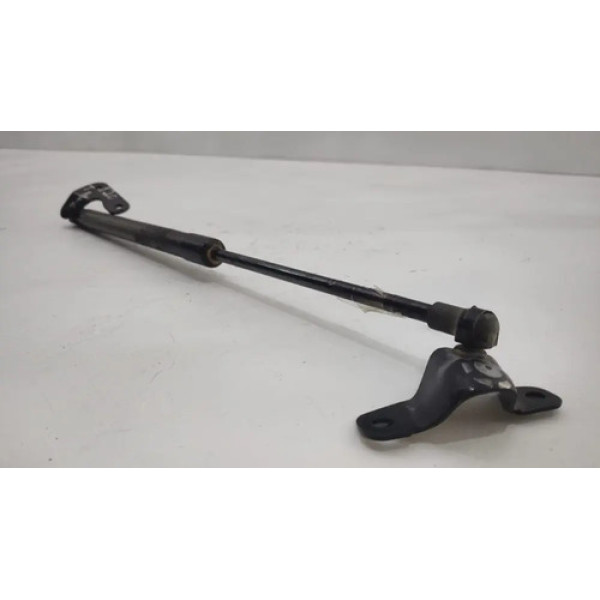 Amortecedor Bmw 120i 2006 Tampa Traseira Esquerdo Original 