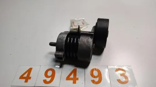 Esticador Correia Poly V Bmw 320 2006 =49493 Pr092