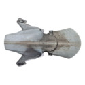 Paralama Dianteiro Honda Adv 150 21/24 Orig Detalhes 54061