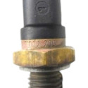 Sensor Temperatura Do Motor Iveco Daily 2013/2019 0281002209