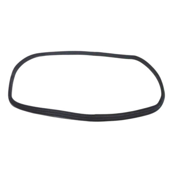 Borracha Porta Traseira Esquerda Peugeot 407 Sw 2006 2007