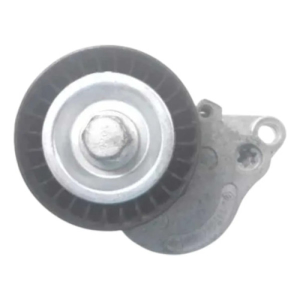 Tensor Da Correia Com Polia Renault Master 2.3 2014 A 2020