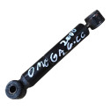 Amortecedor Traseiro Chevrolet Omega 6.cc 2000 2001 93229319