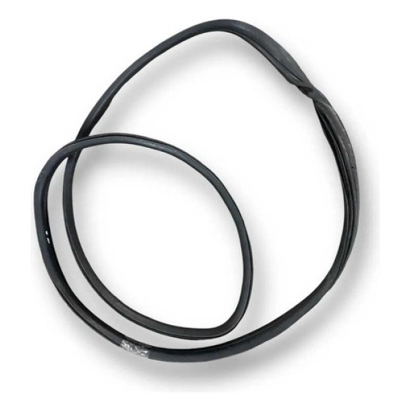 Borracha Porta Traseira Esquerda Peugeot 206 2006 Preto
