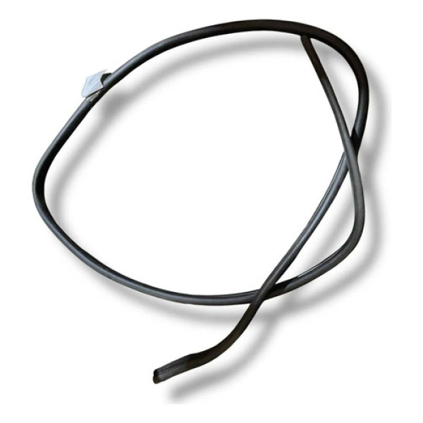 Borracha Contorno Porta Dianteira Esquerda Focus 2012 2013 Índigo