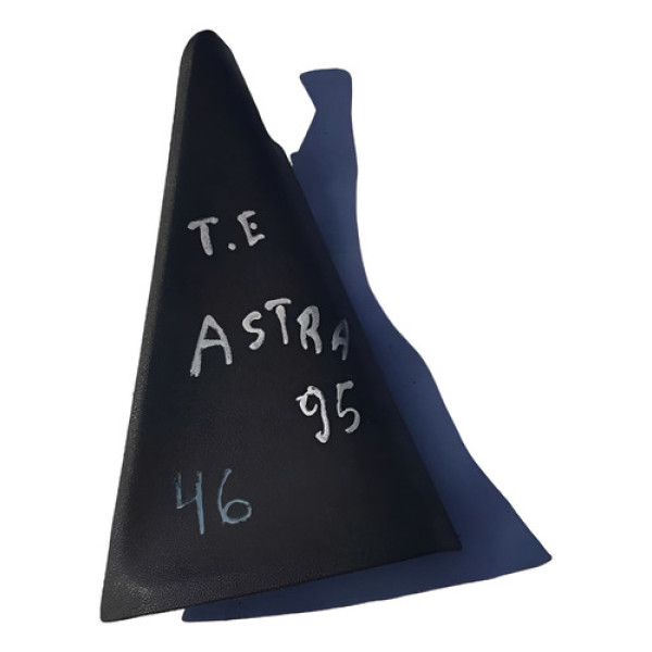 Moldura Interna Traseira Esquerda Gm Astra  1997 90360921 Preto