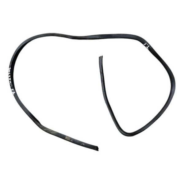 Borracha Porta Traseira Esquerda Nissan Livina 2014 2015 Preto