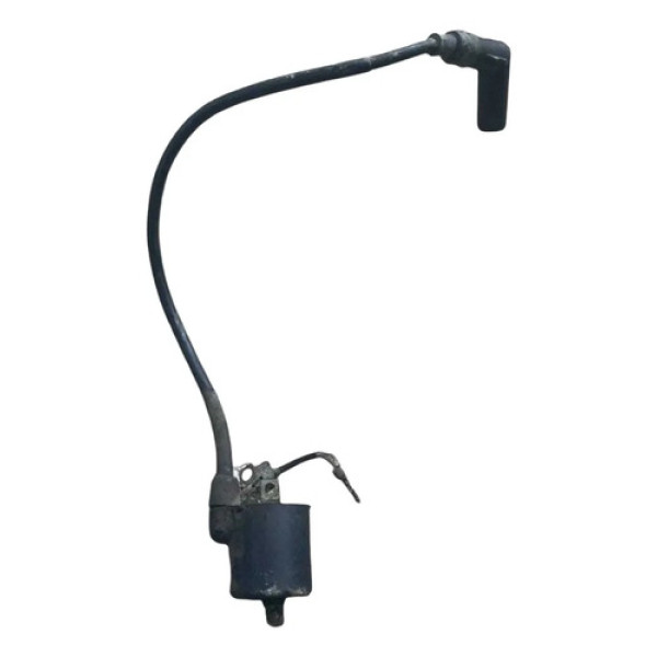Bobina Ignição Honda Cg 125 Titan 2000 2001 2002 2003 2004
