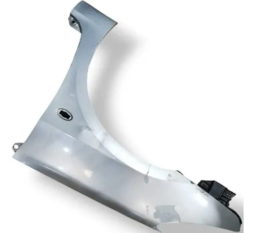 Paralama Lado Esquerdo Peugeot 2.0 307 Sw 2007 Detalhe