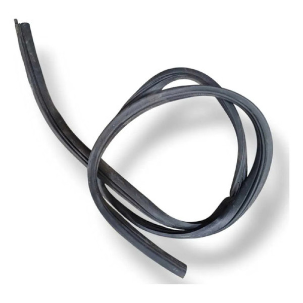 Borracha Porta Dianteir Esquerda Renault Sandero 2008 A 2014
