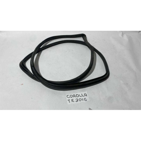 Borracha Porta Traseira Esquerda Toyota Corolla Xei 2.0 2016