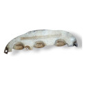 Protetor Calor Coletor Escape Chevrolet Montana 2005 2006 Prateado