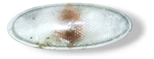 Luz Pisca Paralama Direito Toyota Etios Sedán 2014 2015 2016 Branco