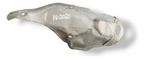 Defletor Calor Catalisador Ford Ka 2015 2016 Cv219n454ab 