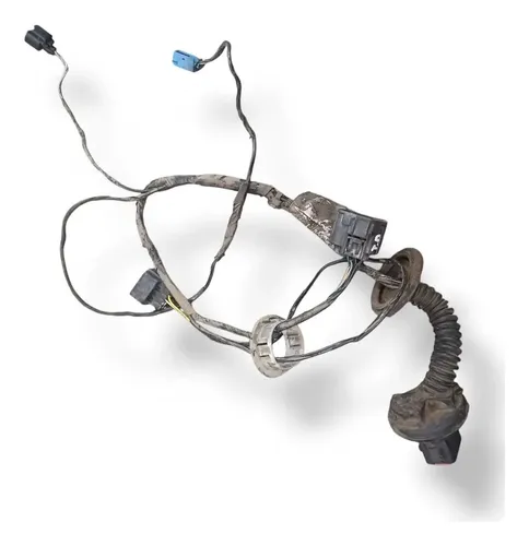 Chicote Porta Traseira Direit Ford Focus 1.8 2003 2m5514a584