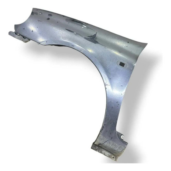 Paralama Lado Esquerdo Renault Clio 1999 2000 2001 2002