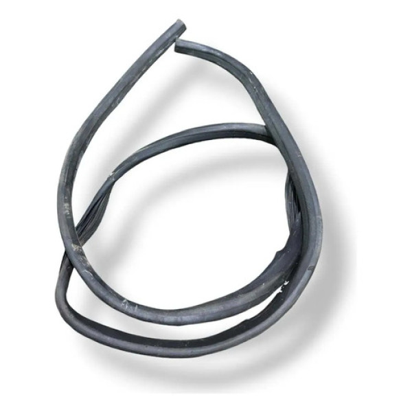 Borracha Porta Traseira Esquerda Fiat Linea 2009 2010 2011