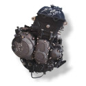 Motor Parcial Triumph Tiger 900  2021 Gt Com Detalhe