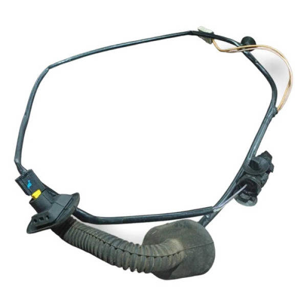 Chicote Porta Traseira Direita Renault Clio 2007 7700435368