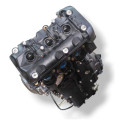 Motor Parcial Triumph Tiger 900  2021 Gt Com Detalhe