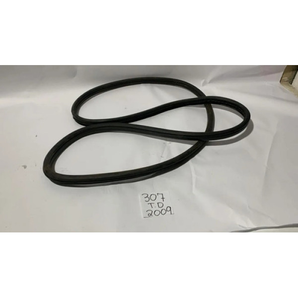  Borracha Porta Traseira Direita Peugeot  307 2010