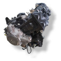 Motor Parcial Triumph Tiger 900  2021 Gt Com Detalhe