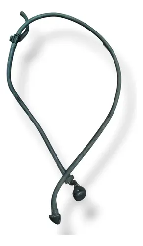 Brucutu Eguicho Parabrisa Renault Clio 2006 2007 2008 Preto