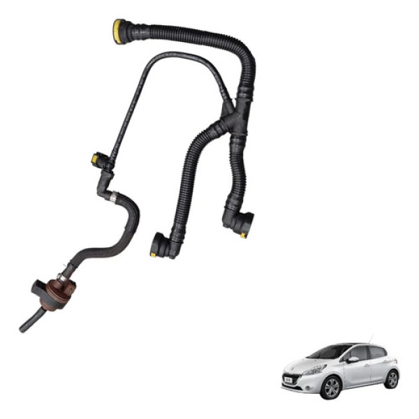 Mangueira Válvula Canister Peugeot 208 2015 A 2020 Original