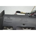Luz Cortesia Teto Com Suporte Peugeot 208 2013 Original