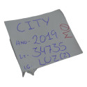 Luz Interna Teto Traseira Honda City 2019 Original