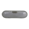 Luz Cortesia Interna Teto Renault Sandero 2019 Original