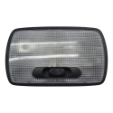 Luz Cortesia Interna Teto Honda Civic 2020 Original