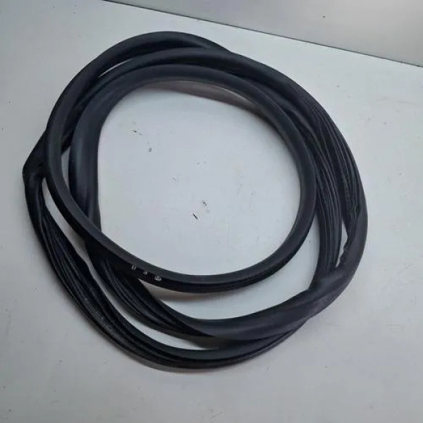 Borracha Porta Traseira Esquerda (carroceria) Sandero 2015/