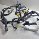 Chicote Bicos Fiat Toro 1.8 Aut 2016 A 2021