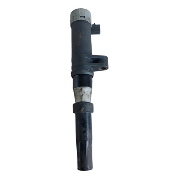 Bonina De Ignição 2 Pinos Renault Scenic Megane Clio 