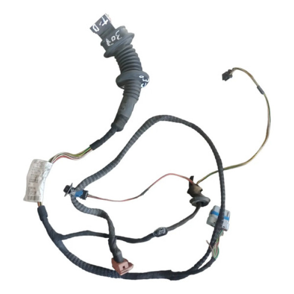 Chicote Porta Traseiro Direito Peugeot 307 2004 A 2020