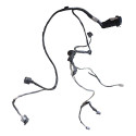 Chicote Porta Traseira Esquerda Gm Vectra Gtx 2008 93354911