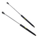 Amortecedor Tampa Traseira Peugeot 307 2002 A 2010 Par Cx174