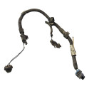 Chicote Da Luz De Placa Chevrolet Spin 2013 2018 52044182
