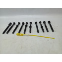 Jogo Parafuso Cabeçote Peugeot 307 2.0 16v 2003/2008 Cx175